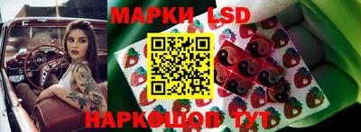 mdpv Камышлов