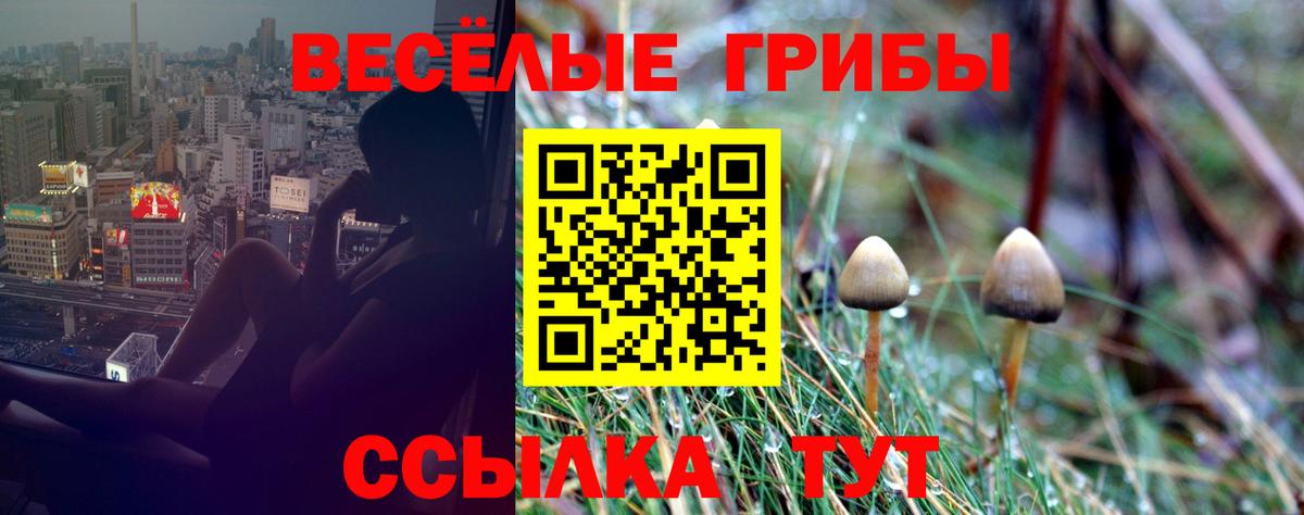 Барабинск  Галлюциногенные грибы прущие грибы  Вход с VPN 