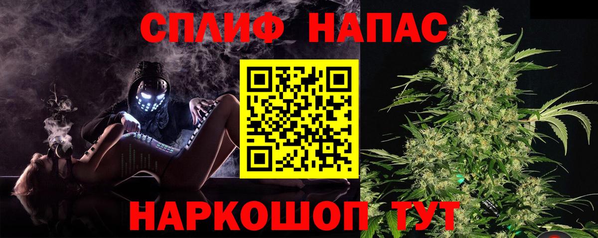 Конопля гибрид Барабинск